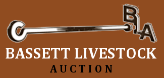 Bassett Livestock Auction